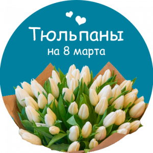 Купить тюльпаны в Соль-Илецке